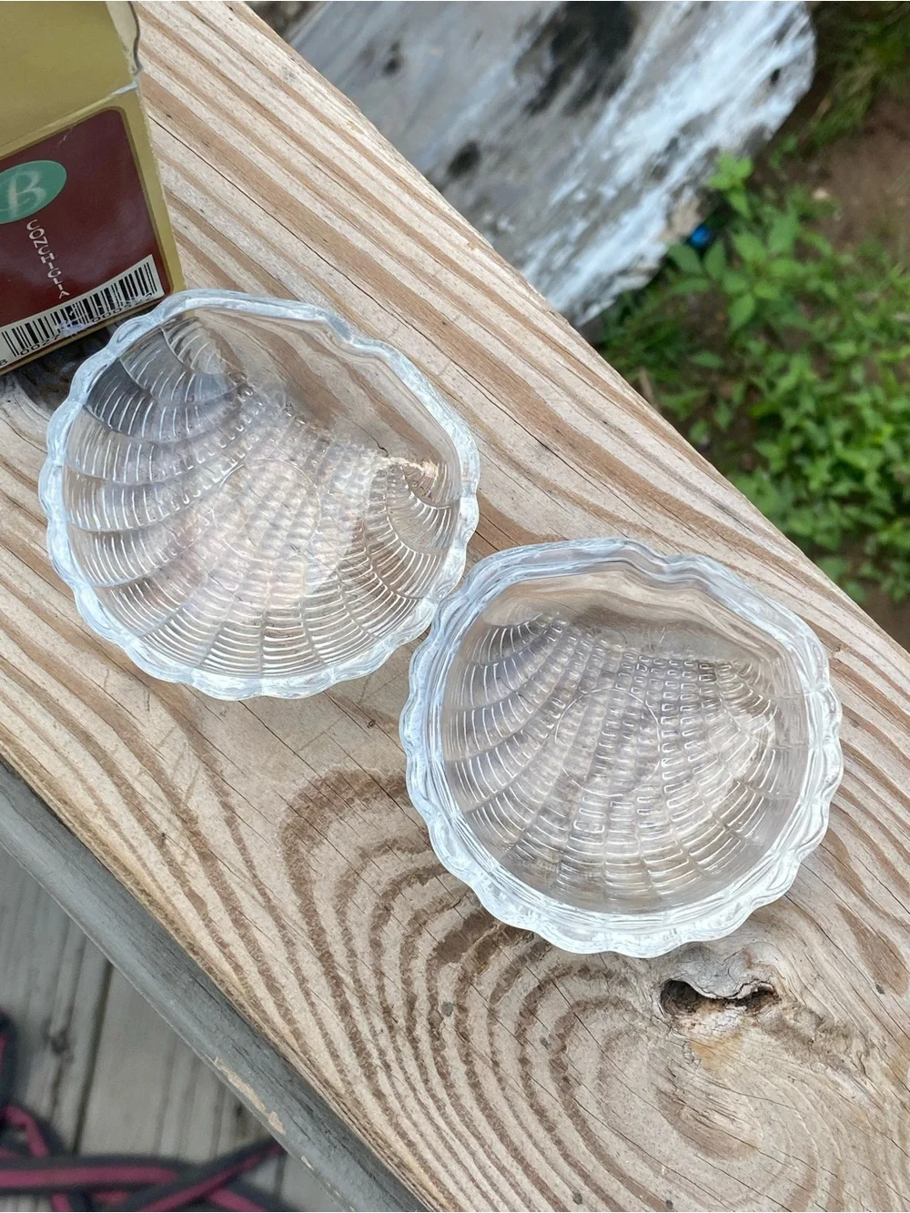Clear Glass Shell Trinket Box - Decorative Sea Shell